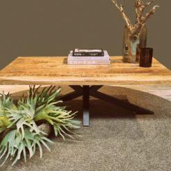 salontafel mangohout met boomstamrand